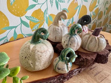 Load image into Gallery viewer, Nikki Waterlow Ceramics Pumpkins