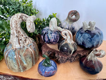 Load image into Gallery viewer, Nikki Waterlow Ceramics Pumpkins