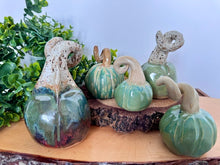 Load image into Gallery viewer, Nikki Waterlow Ceramics Pumpkins