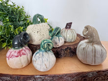 Load image into Gallery viewer, Nikki Waterlow Ceramics Pumpkins