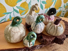 Load image into Gallery viewer, Nikki Waterlow Ceramics Pumpkins

