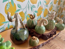 Load image into Gallery viewer, Nikki Waterlow Ceramics Pumpkins
